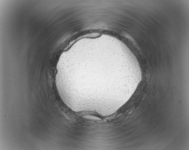 X0000065971064200603311833