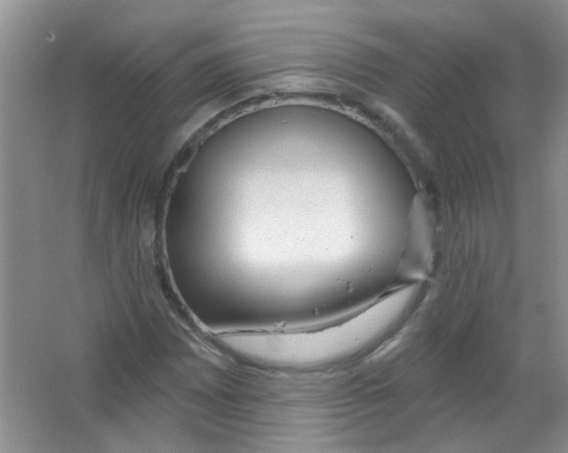 X0000065971065200603311833