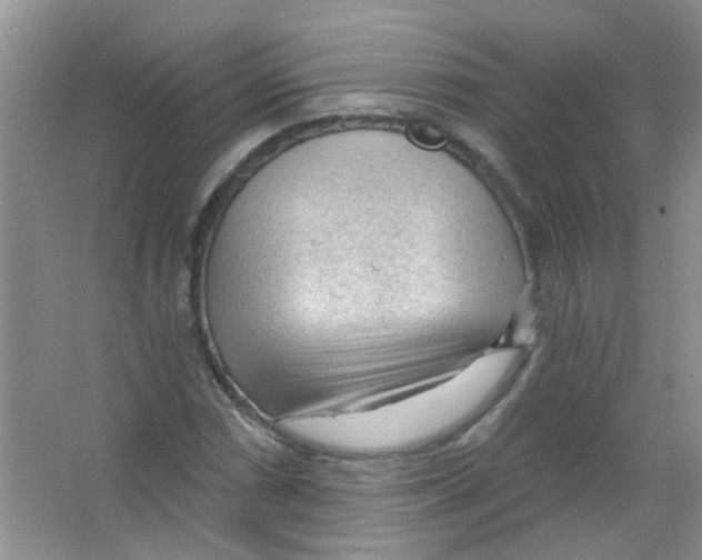 X0000065971066200603311833