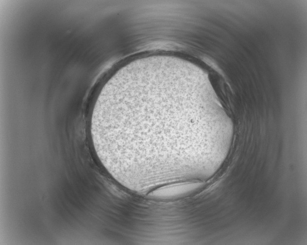 X0000065971067200603311833