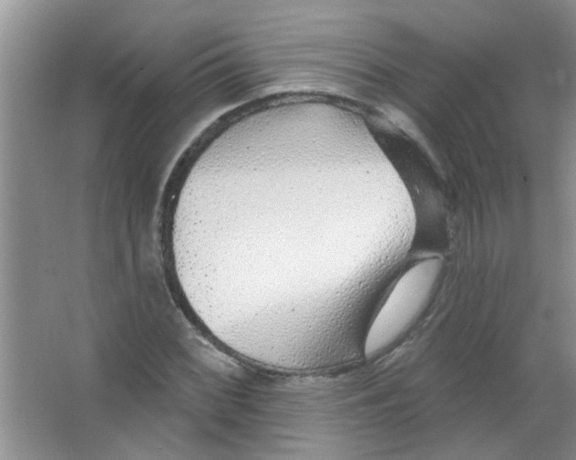 X0000065971068200603311833