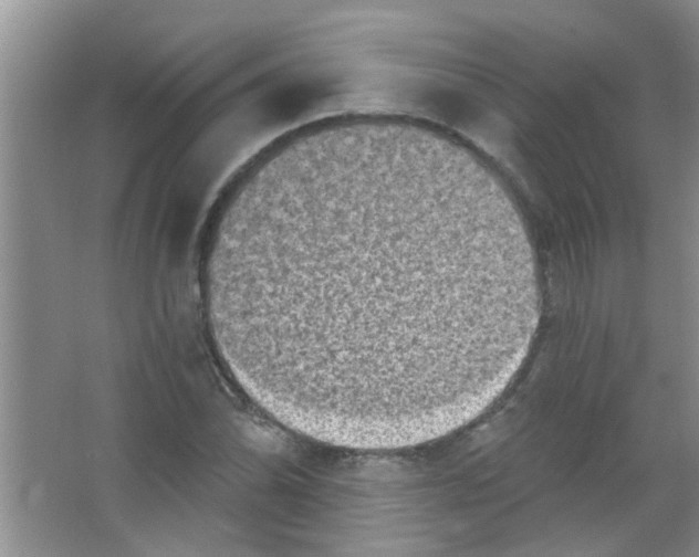 X0000065971070200603311833