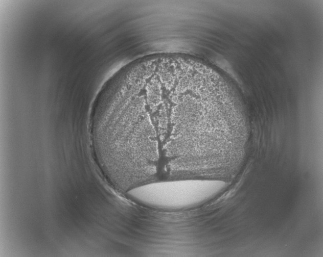 X0000065971071200603311833