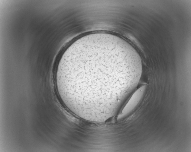 X0000065971072200603311833