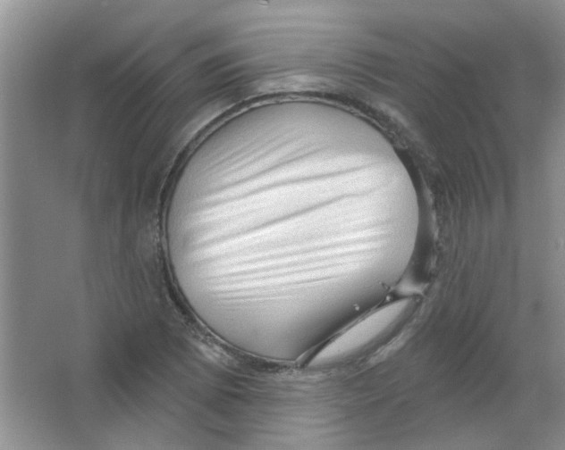 X0000065971073200603311833