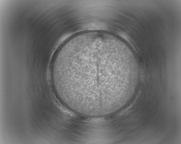 X0000065971074200603311833