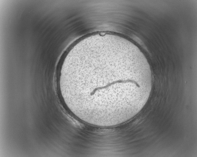 X0000065971076200603311833