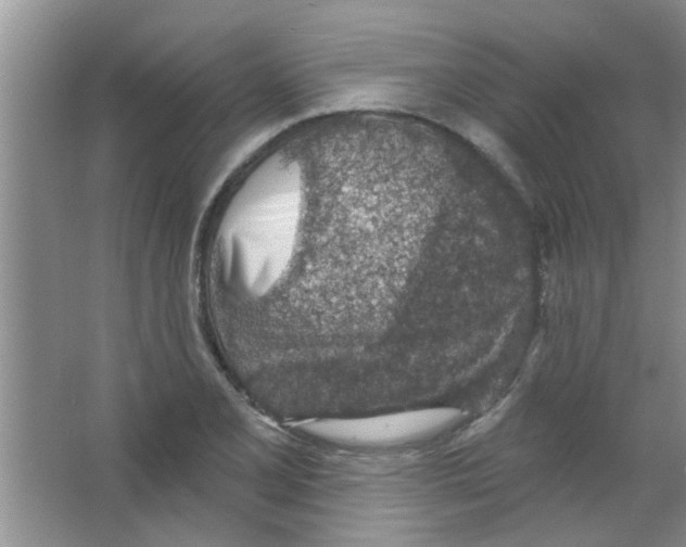 X0000065971077200603311832