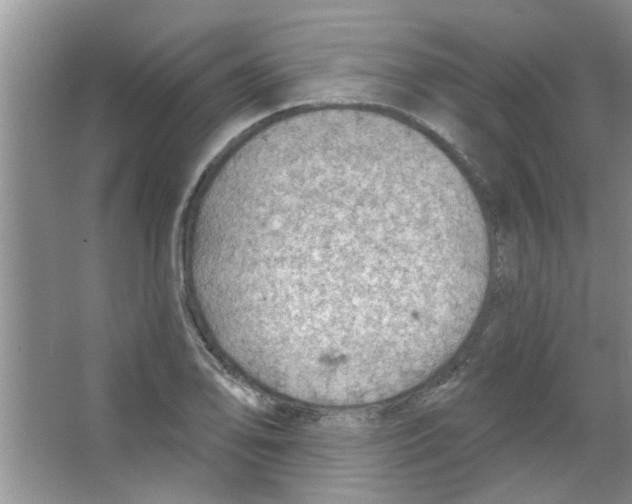 X0000065971078200603311832