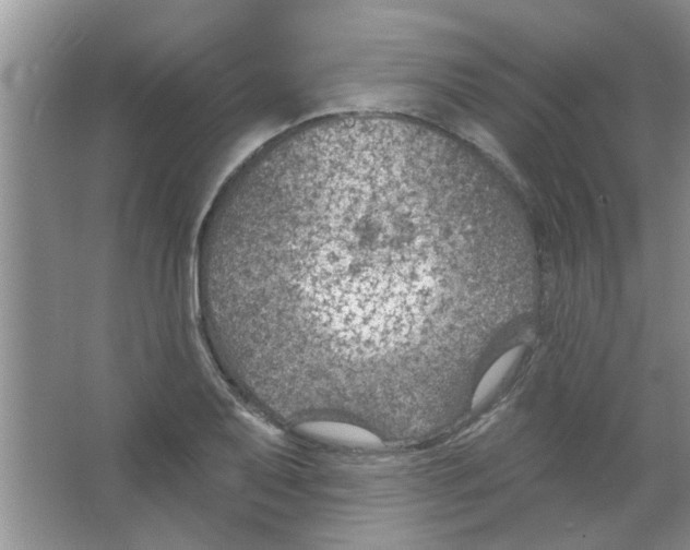 X0000065971079200603311832