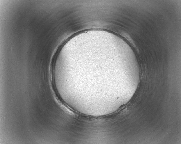 X0000065971080200603311832