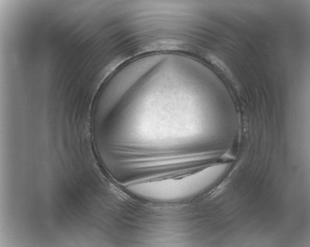 X0000065971081200603311832