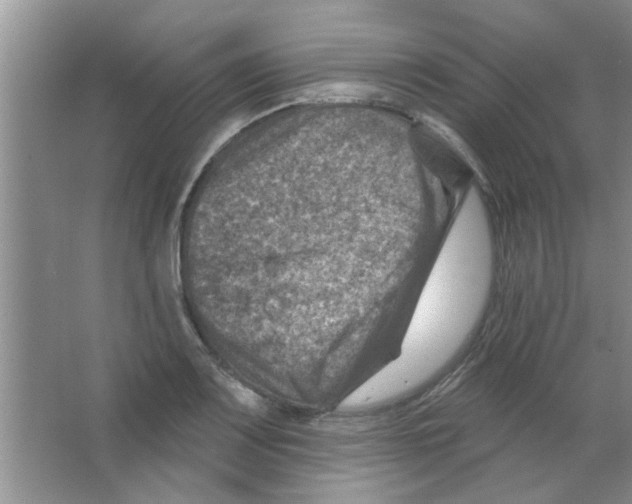 X0000065971083200603311832