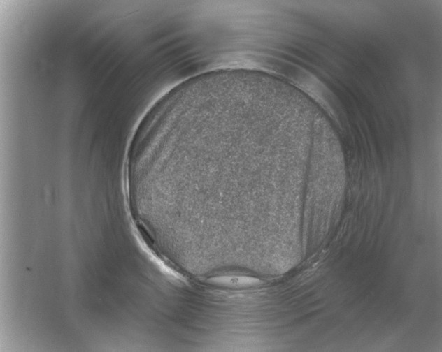 X0000065971084200603311832