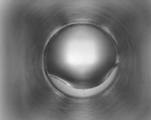 X0000065971085200603311832