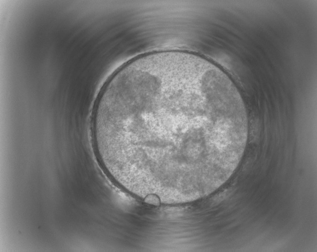 X0000065971086200603311832