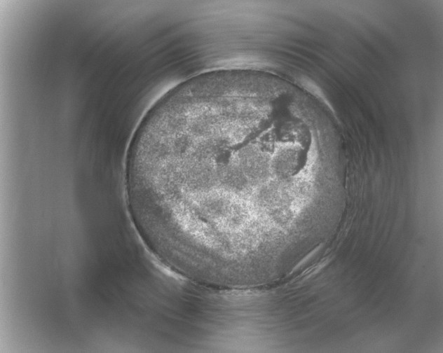 X0000065971087200603311832