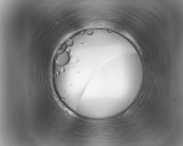 X0000065971088200603311832