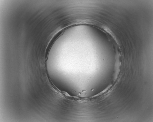 X0000065971089200603311832