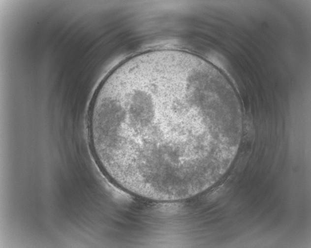 X0000065971090200603311832