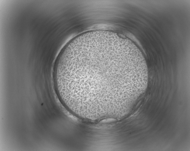 X0000065971091200603311832