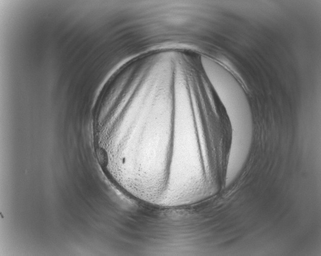 X0000065971092200603311832