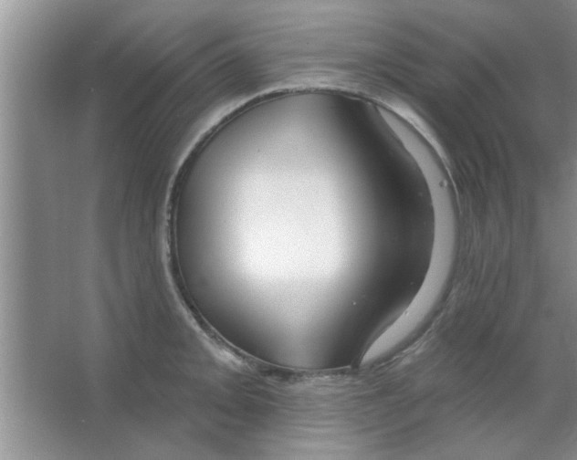 X0000065971093200603311832