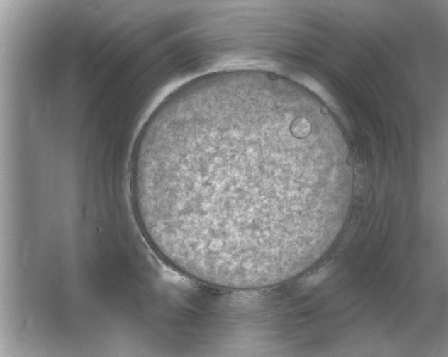 X0000065971094200603311832