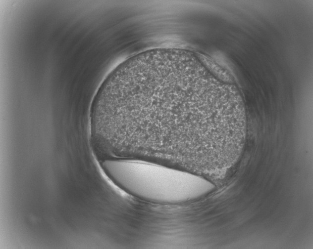 X0000065971095200603311832