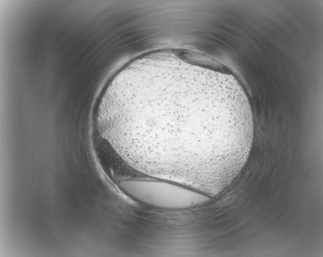 X0000065971096200603311832