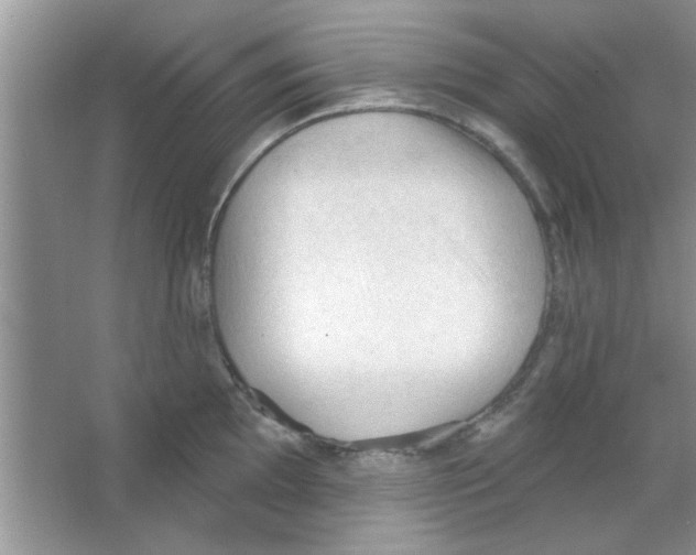 X0000065971097200603311832