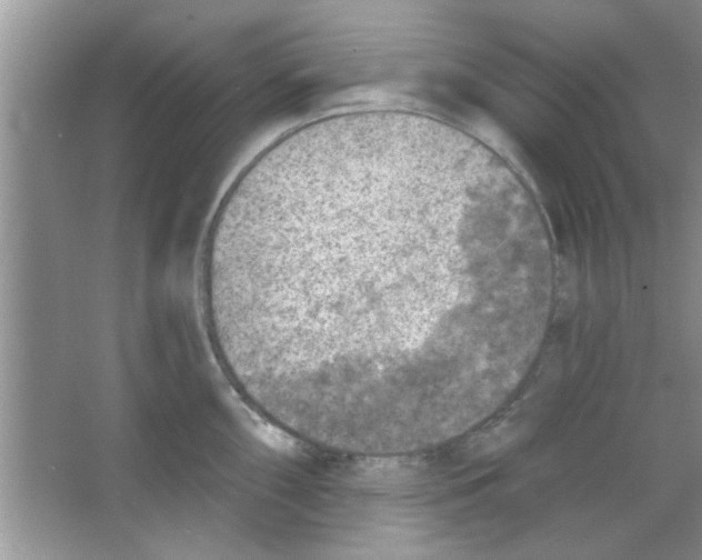 X0000065971098200603311832