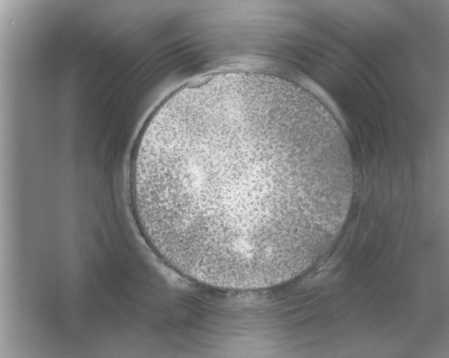 X0000065971099200603311832