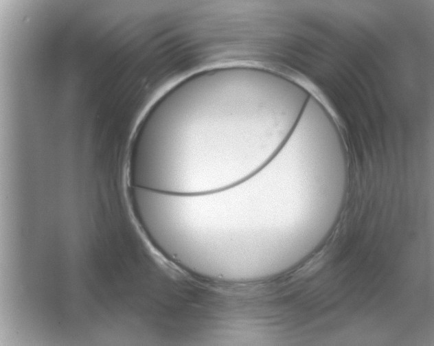 X0000065971101200603311832