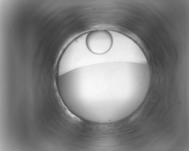 X0000065971102200603311832