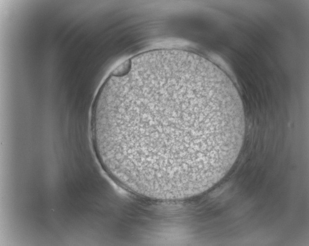 X0000065971103200603311832