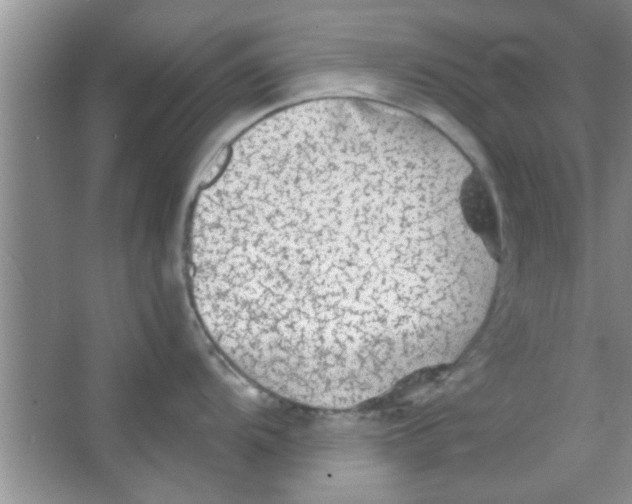 X0000065971104200603311832