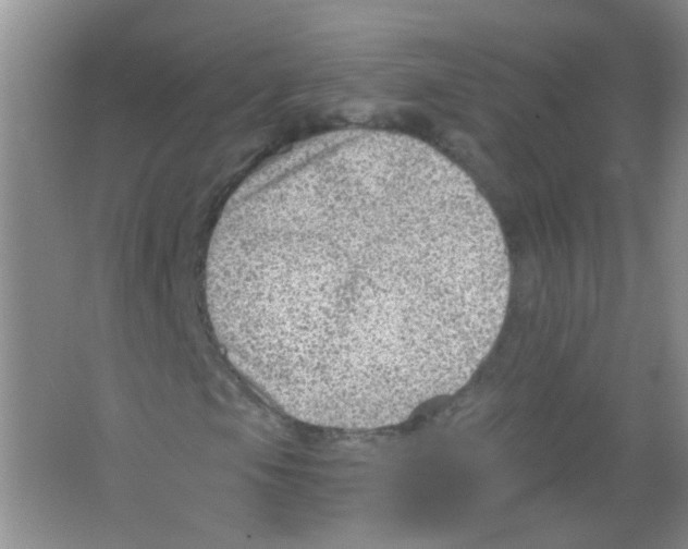 X0000065971105200603311831