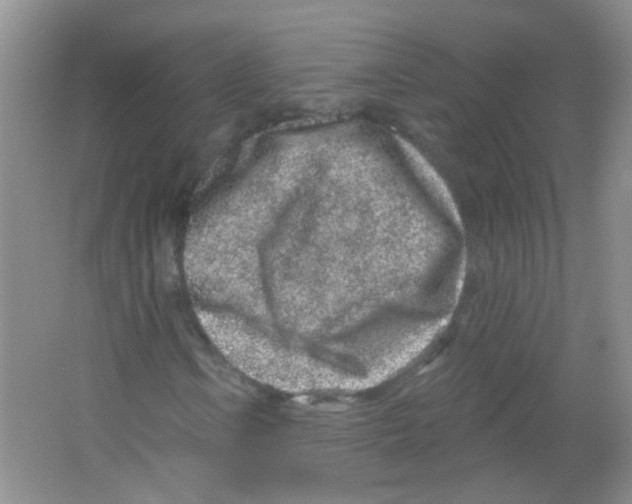 X0000065971106200603311831