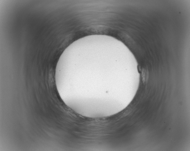 X0000065971107200603311831