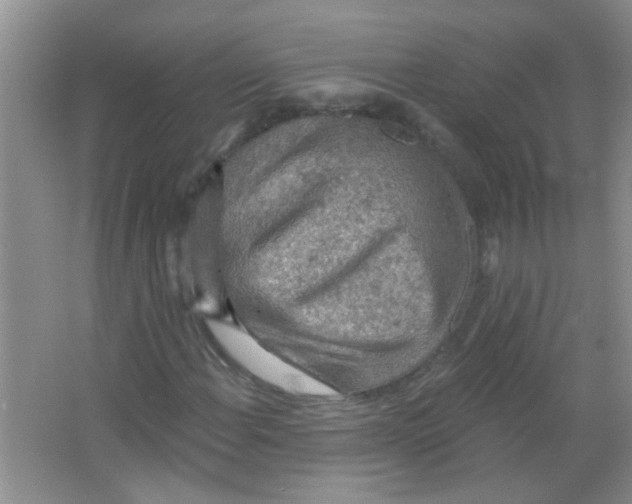 X0000065971108200603311831