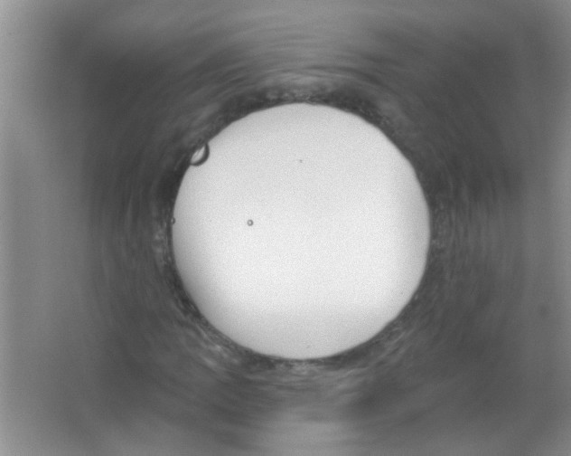 X0000065971109200603311831