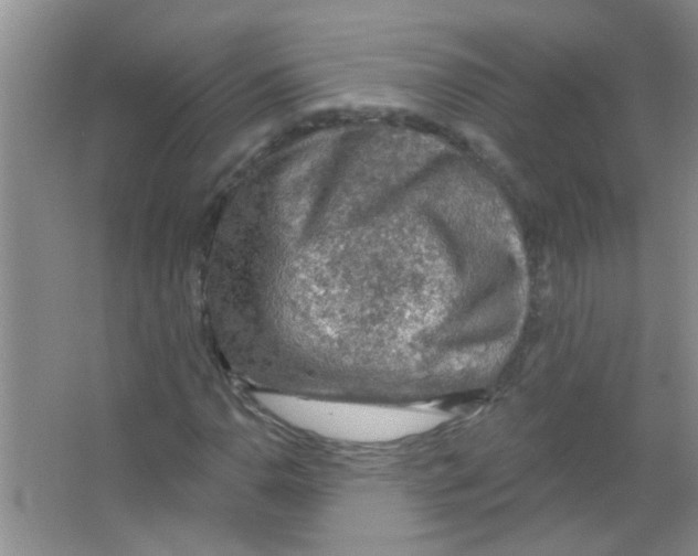 X0000065971110200603311831