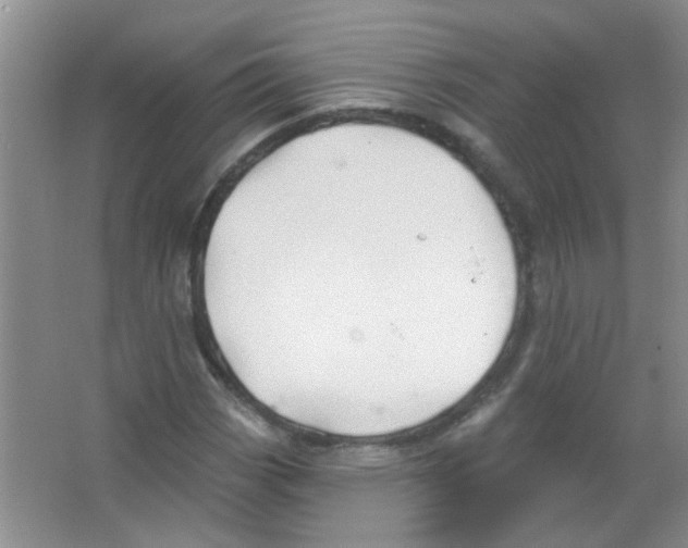 X0000065971113200603311831