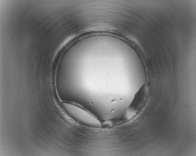 X0000065971114200603311831