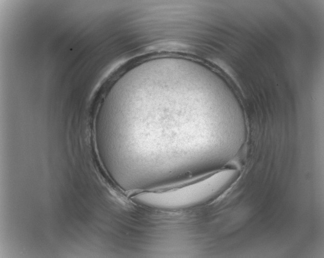 X0000065971115200603311831