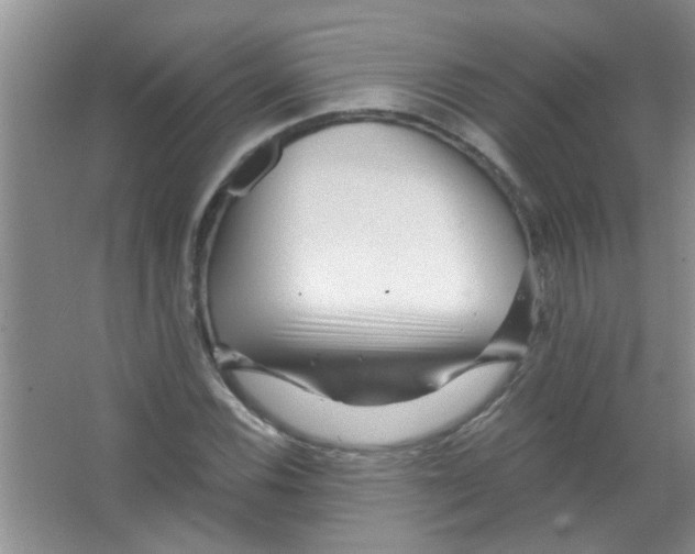 X0000065971116200603311831