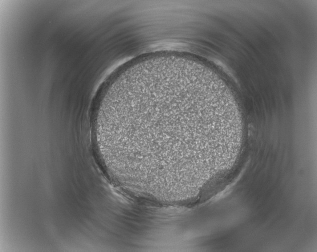 X0000065971117200603311831