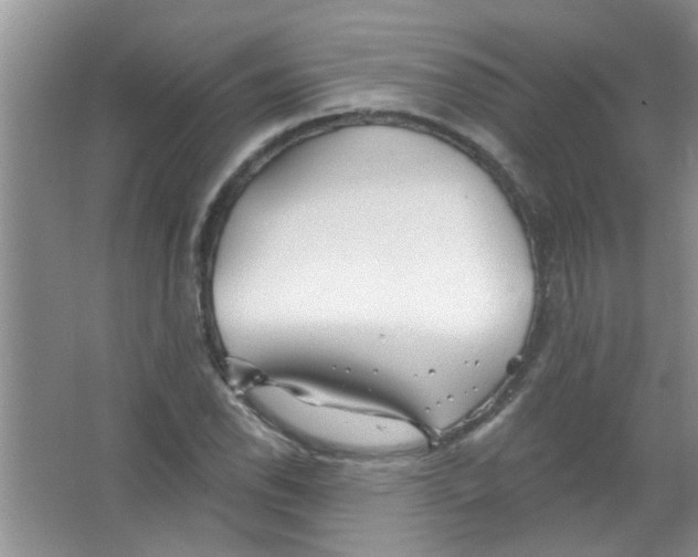 X0000065971118200603311831