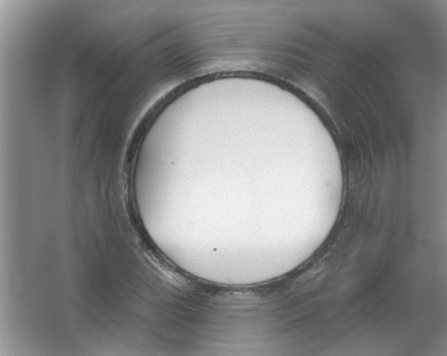 X0000065971119200603311831